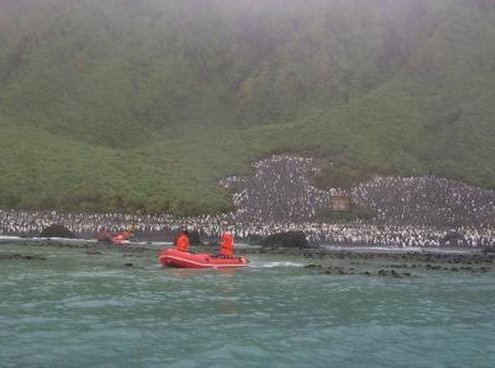 Lusitania Bay Hut, Macquarie Island, 2000