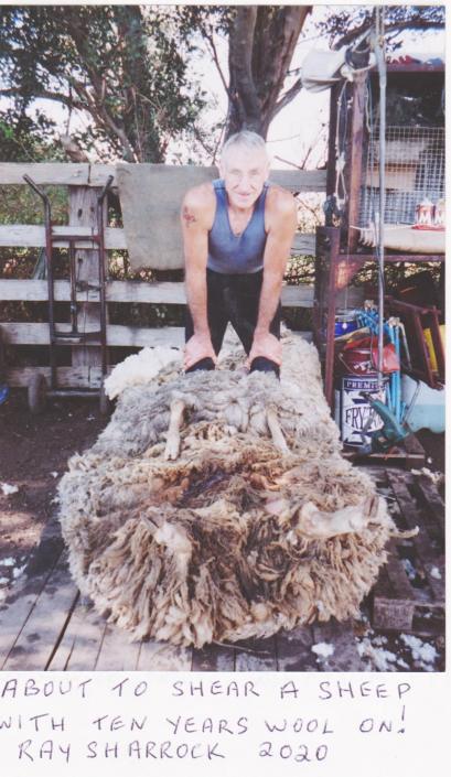 Ray Sharrock Shearer