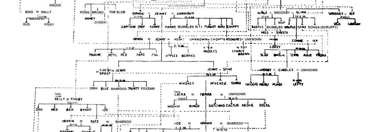 1980 Mawson Dog (Husky) Breeding Diagram