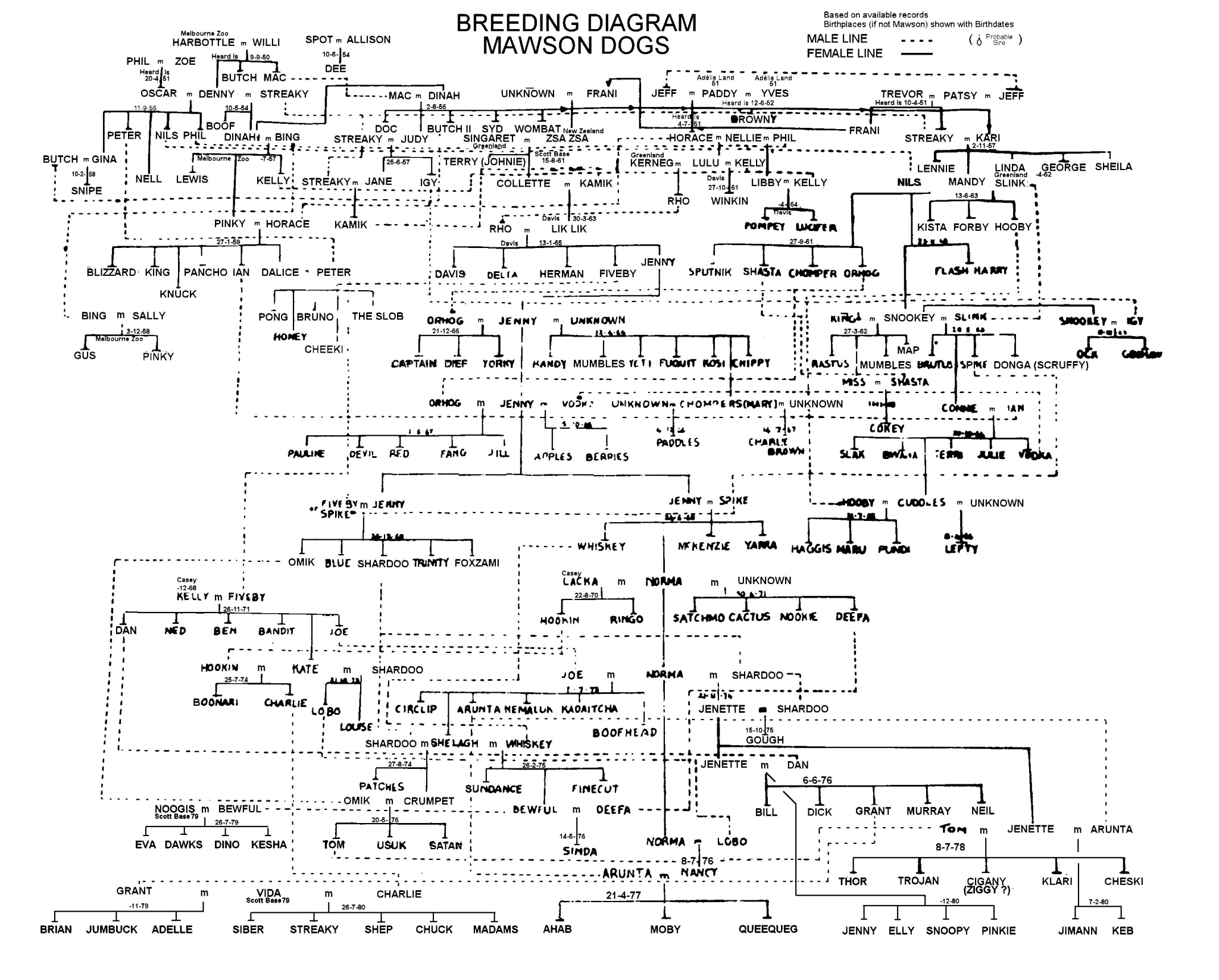 1980 Mawson Dog (Husky) Breeding Diagram