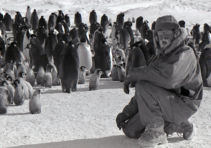 Tom Maggs at Auster Rookery 1980. Photo: Kevin Shepherd