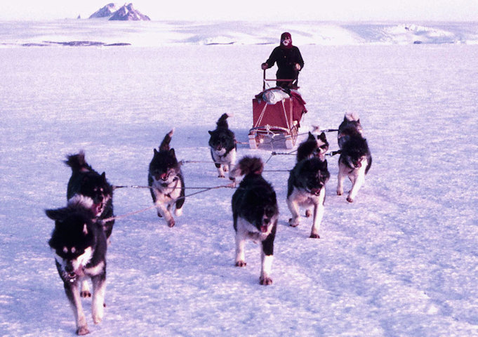 Tom Maggs at Mawson 1980. Photo: Graham Pryde